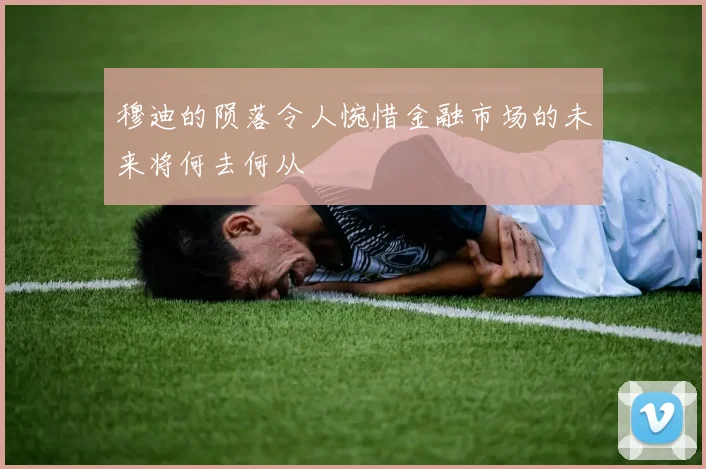 穆迪的陨落令人惋惜金融市场的未来将何去何从
