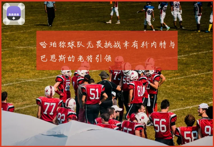 哈珀称球队无畏挑战幸有科内特与巴恩斯的老将引领